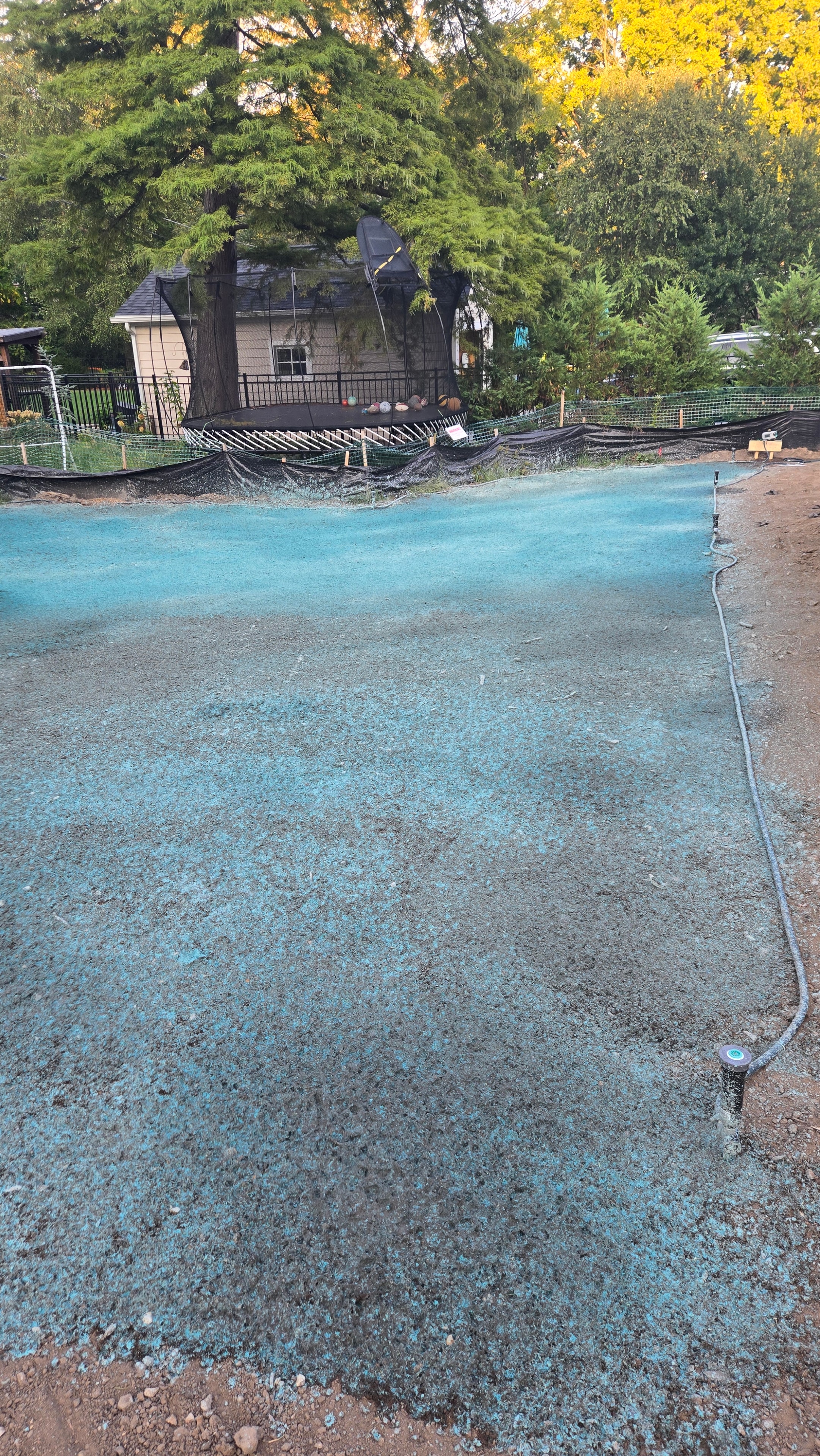 Backyard fully covered in hydroseeding slurry after application