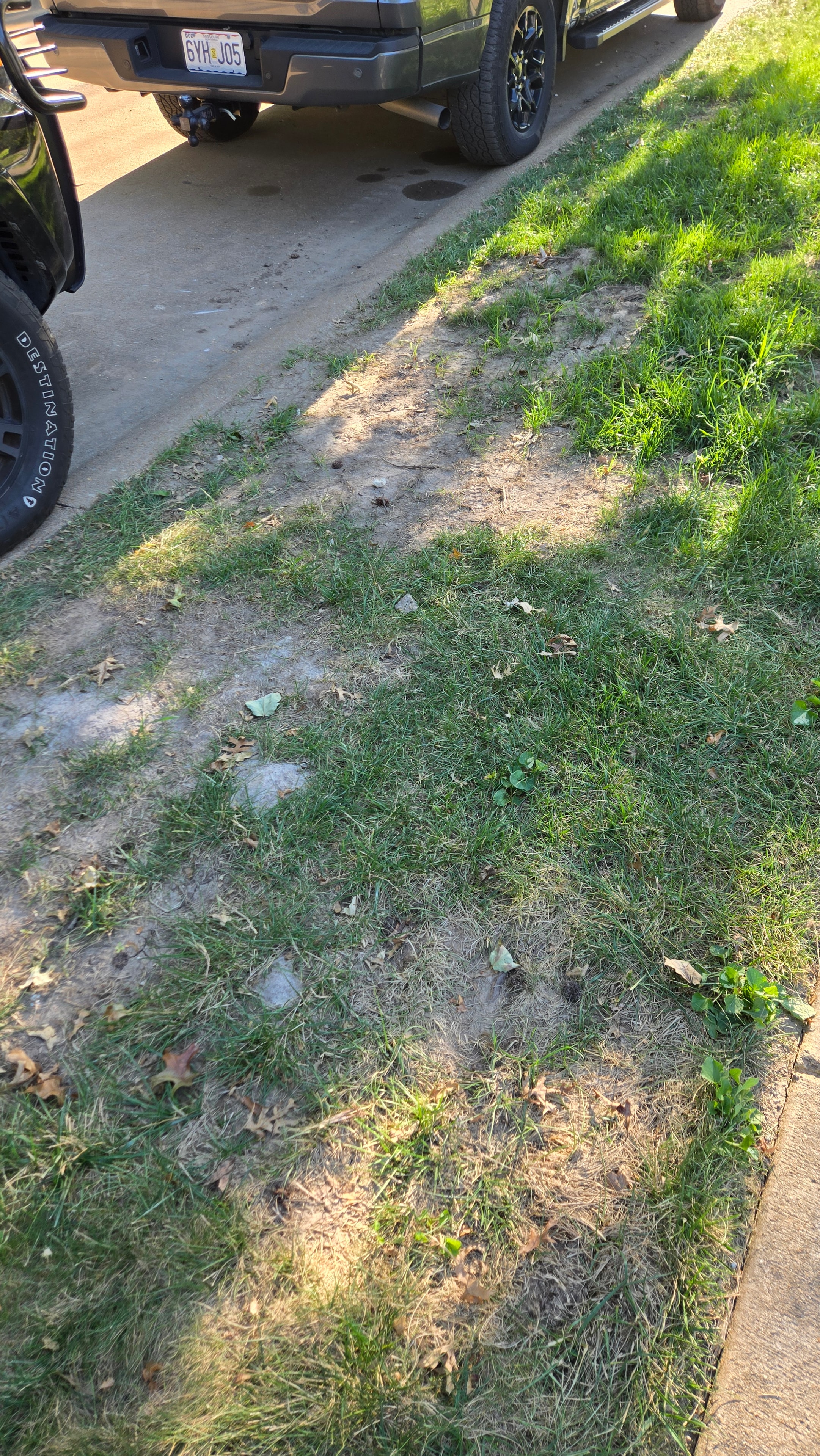 Curb strip with disturbed soil and bare patches before hydroseeding