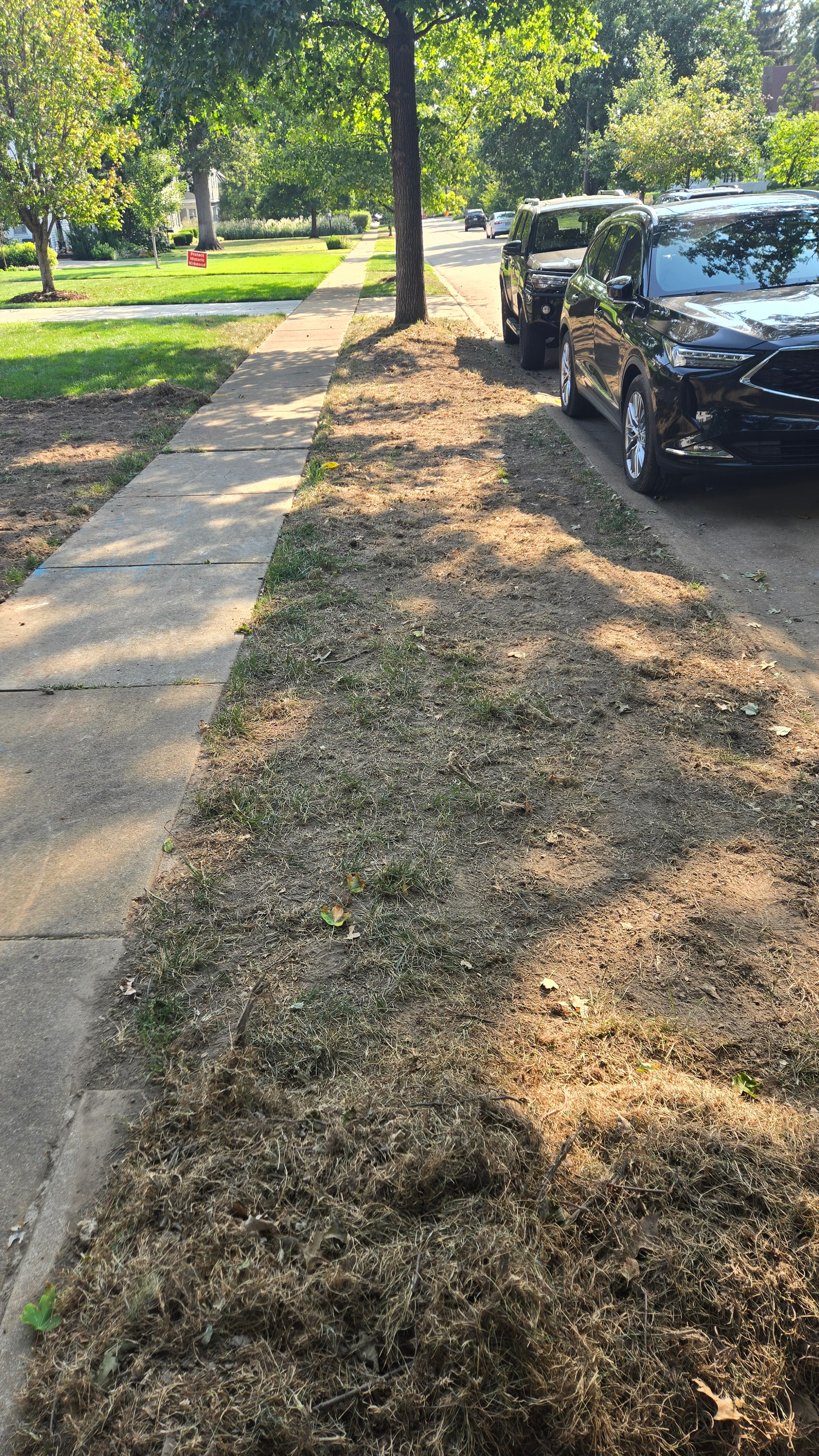 Dry curb strip prepped and ready for hydroseeding