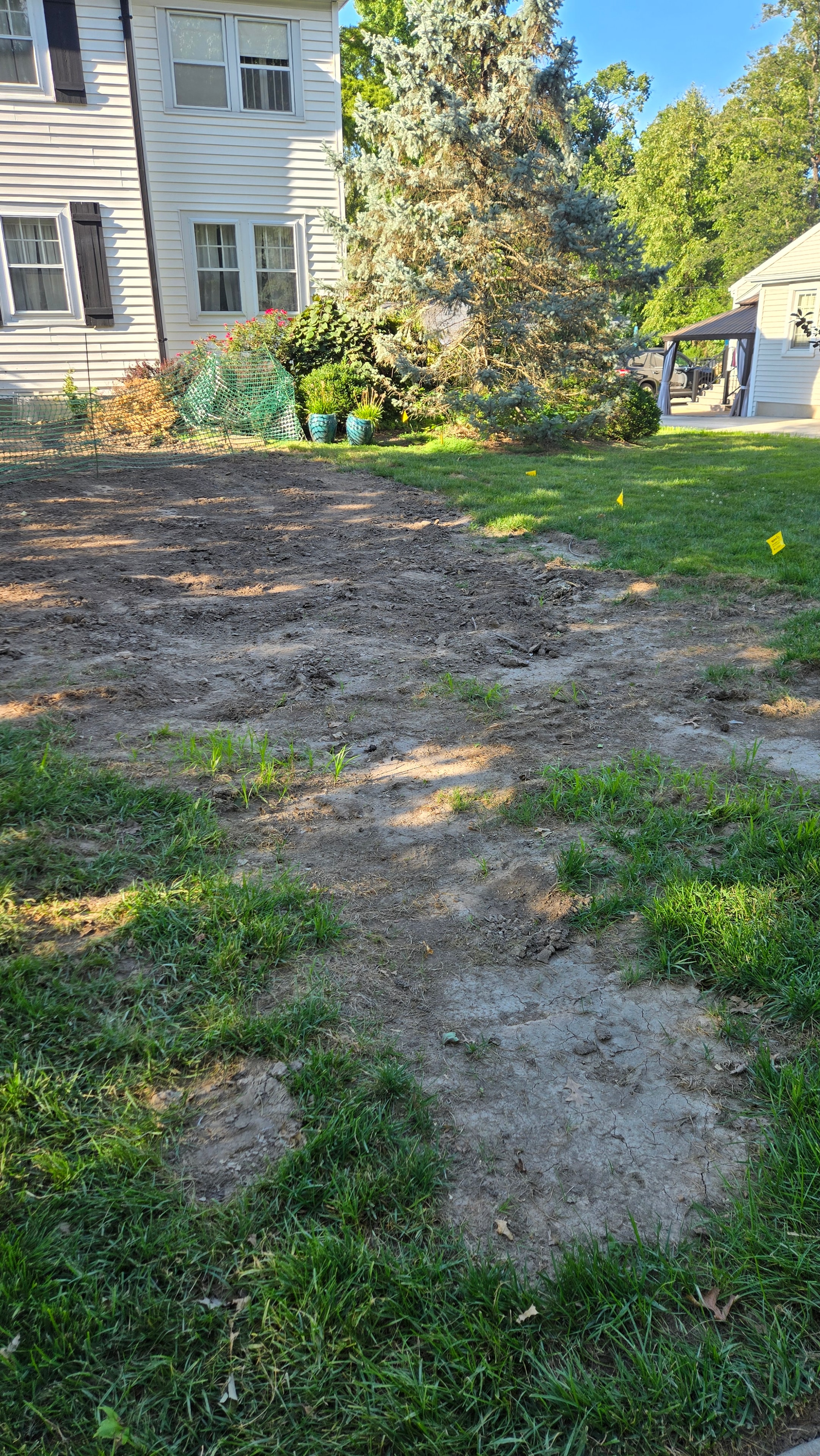 Disturbed and bare soil area in front yard before hydroseeding