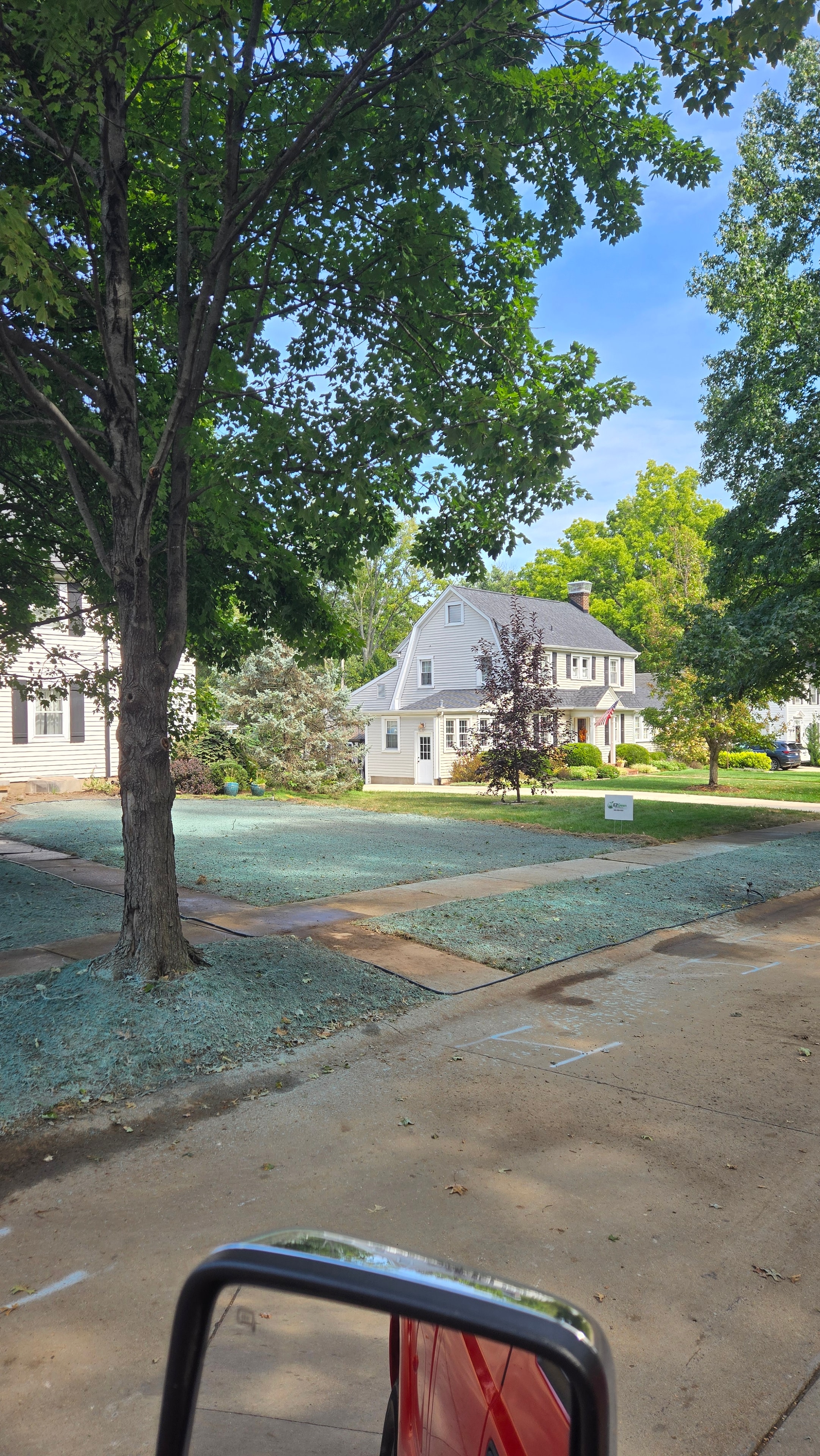 Full front yard hydroseeded with EZ Green truck visible, company sign in yard