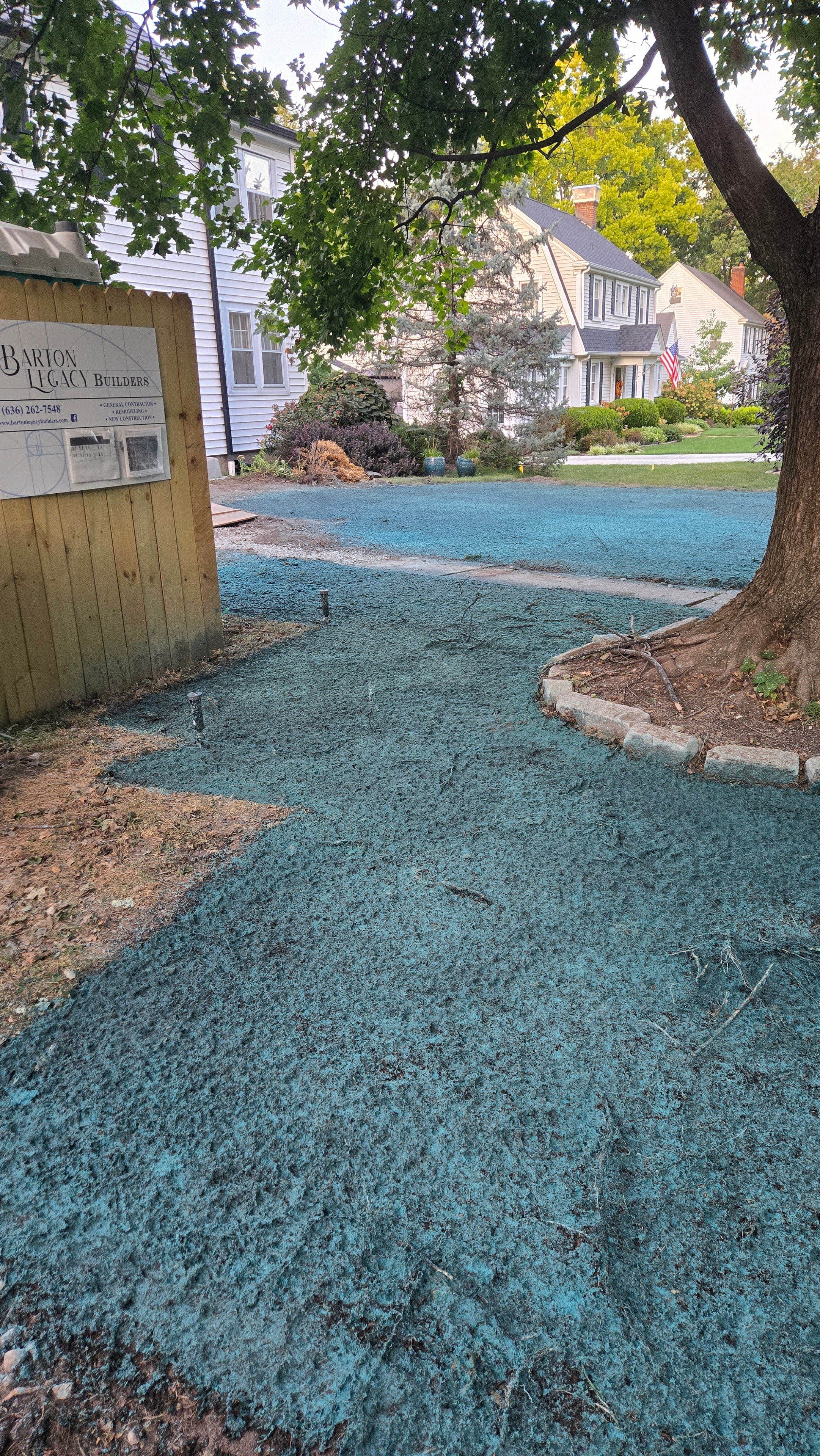 Tree area freshly hydroseeded with slurry applied