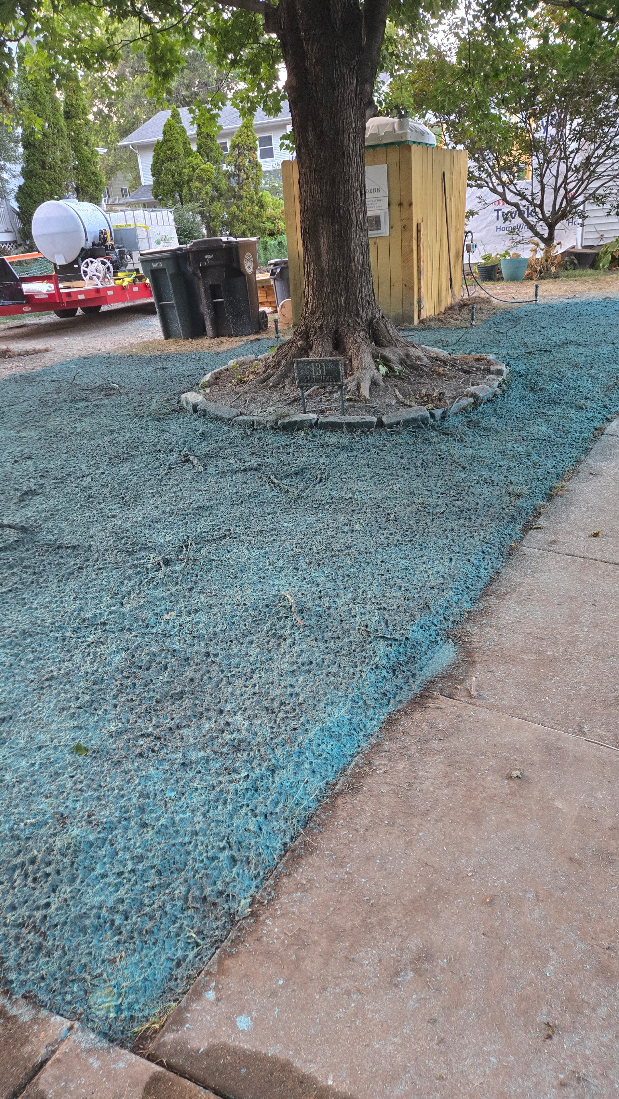 Tree area hydroseeded with EZ Green hydroseeder truck visible in background
