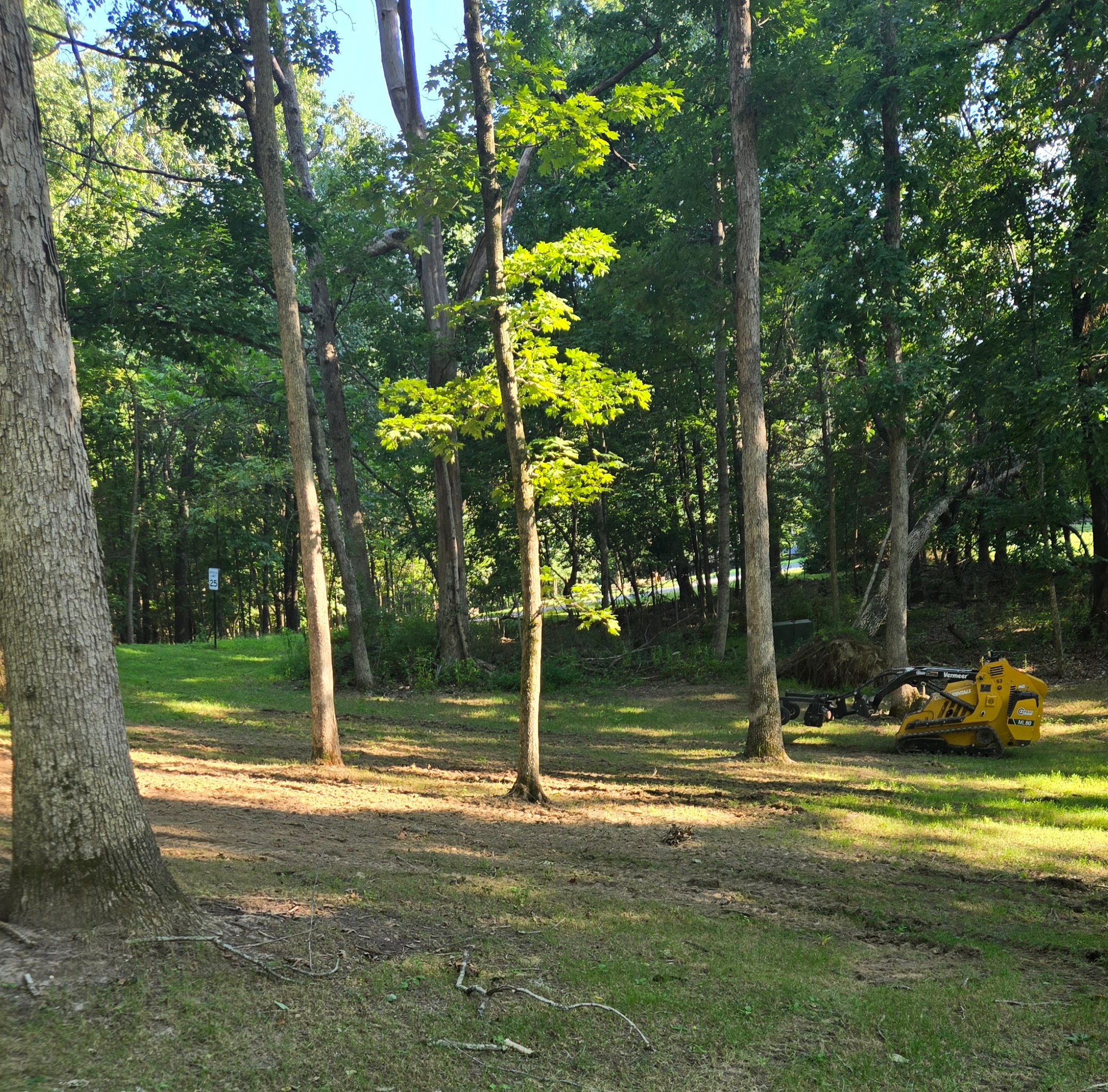 EZGreen site preparation — skid steer clearing and grading the yard